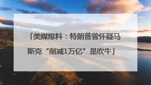 美媒爆料：特朗普曾怀疑马斯克“削减1万亿”是吹牛